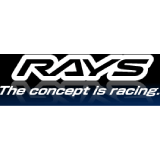 RAYS